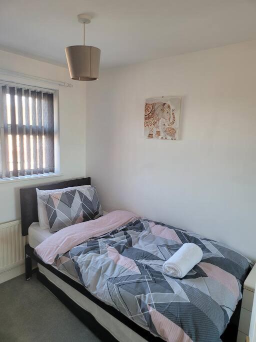 וולינגטון 2 Bedroom End Of Terrace House מראה חיצוני תמונה